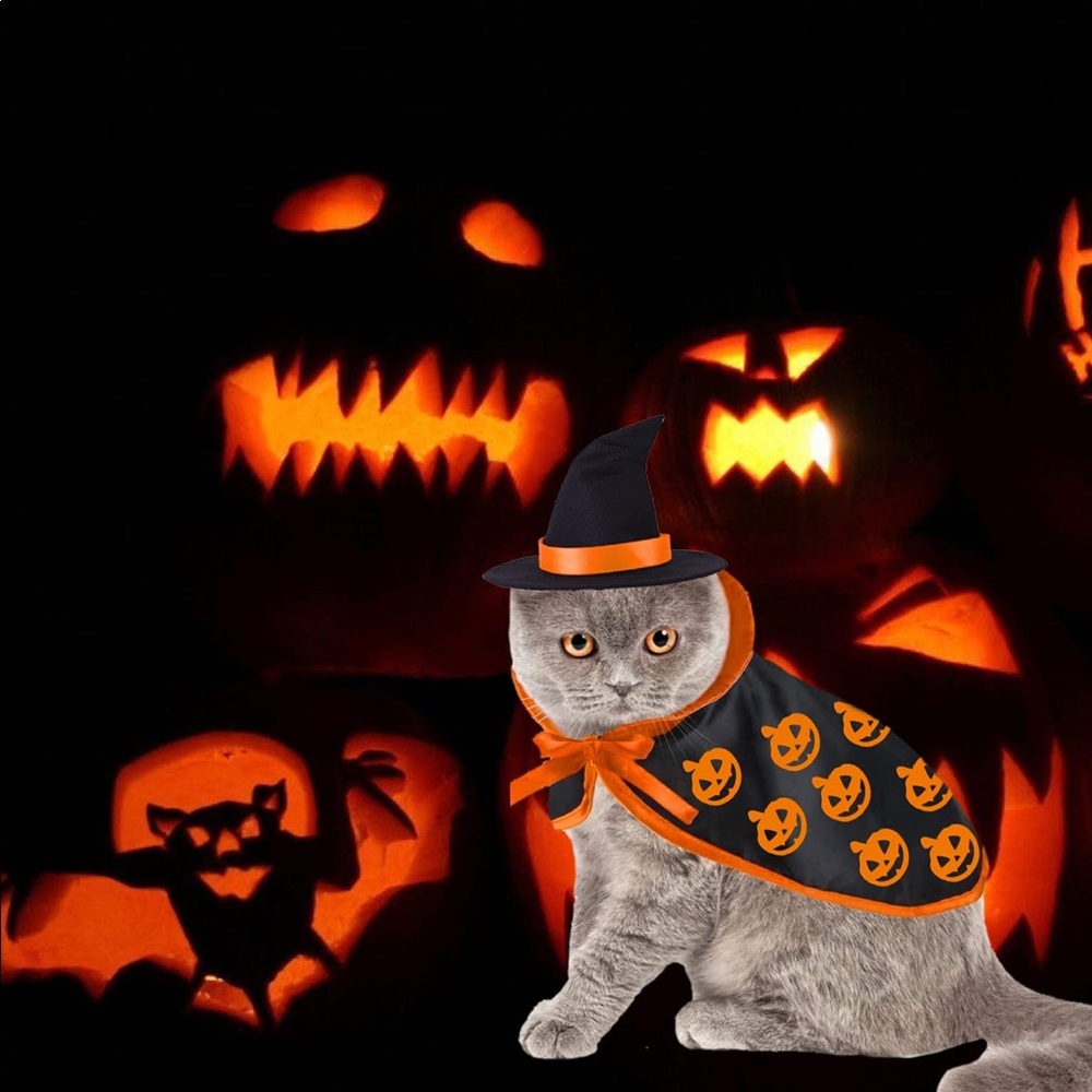 ❗️SALES❗️Halloween Cat Costume 👻 🎃🐈